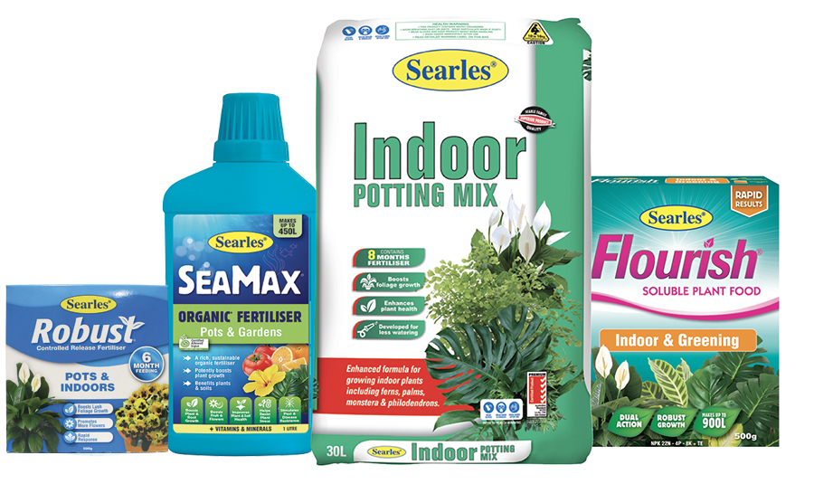 HOW TO CARE FOR INDOOR PLANTS Searles Gardening